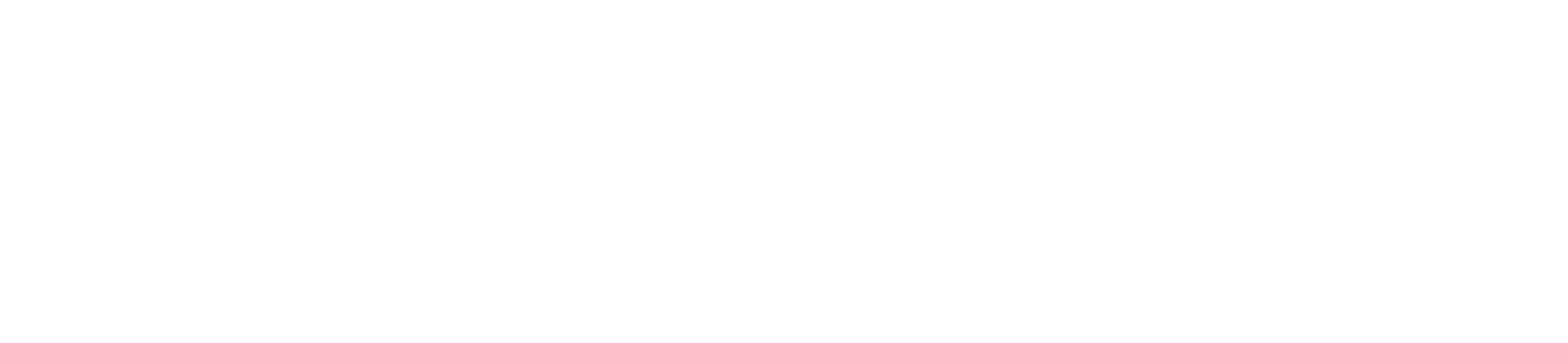 Insight POS